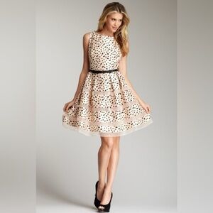 Modcloth Taylor Polka Dot Vintage Swing Dress Size 8